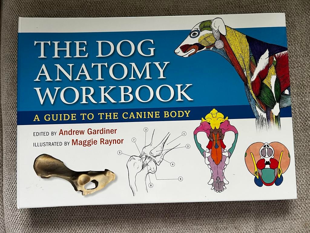 The Dog Anatomy Workbook: A Guide to the Canine Body, Ophalen of Verzenden, Beta, Zo goed als nieuw, HBO