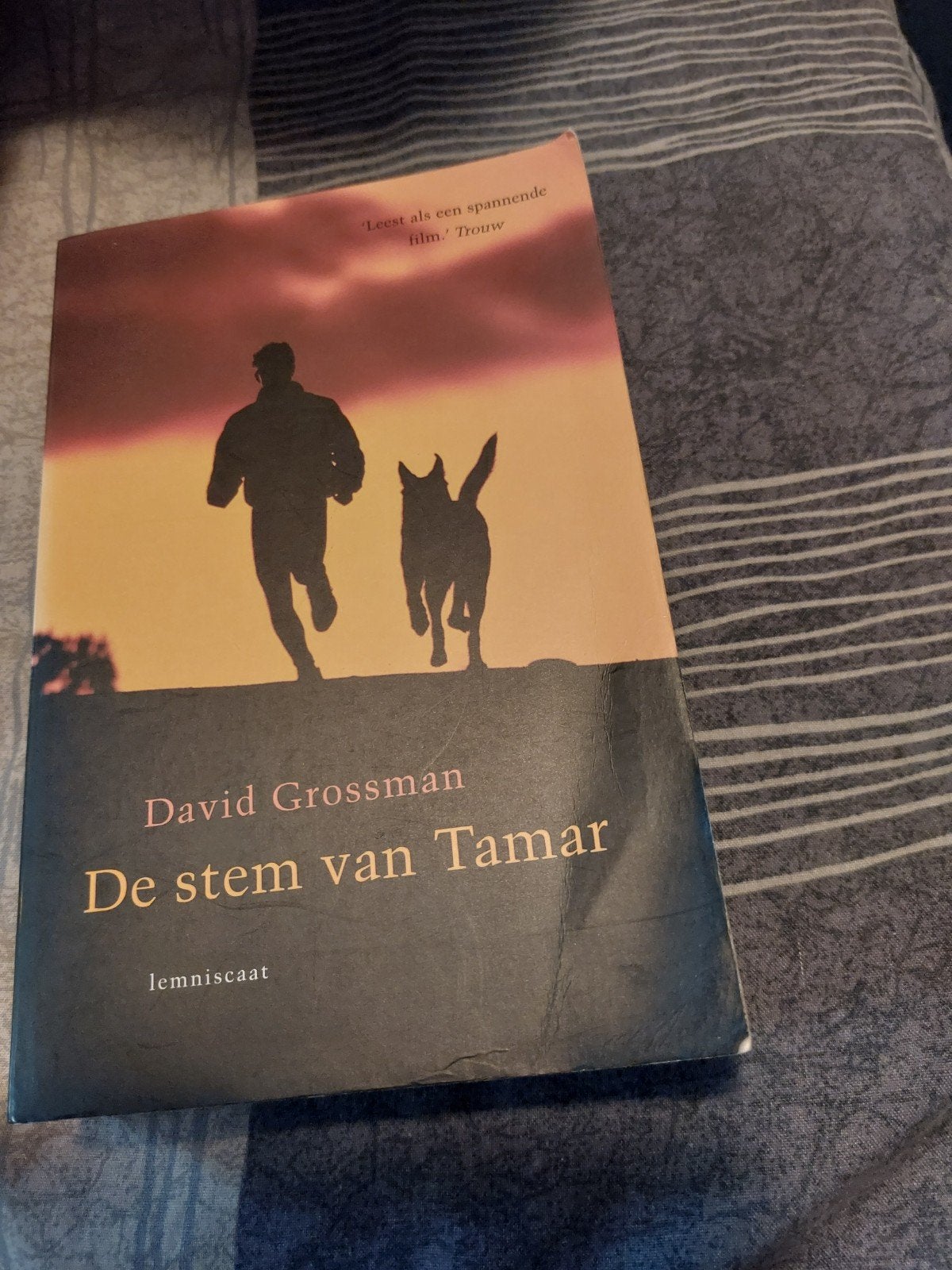 David Grossman - De stem van Tamar, Boeken, Ophalen of Verzenden, Zo goed als nieuw, David Grossman
