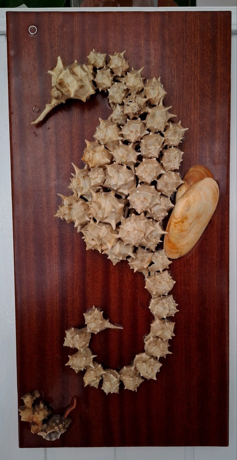 Vintage retro eclyctisch paneel zeepaard schelp, 25 cm, Vintage, Decoratieobject, Ophalen of Verzenden