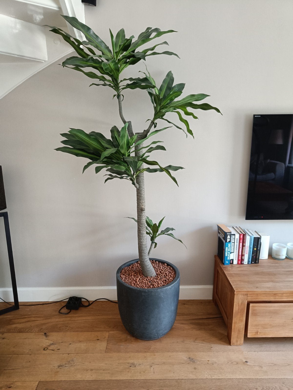 Kunstplant/ Kunstboom (groot) Yucca (palmlelie), Ophalen, Zo goed als nieuw
