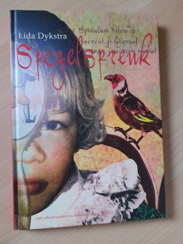 SPEGELSPREUK Lida Dykstra friestalig It stik oer Prins, Ophalen of Verzenden, Zo goed als nieuw