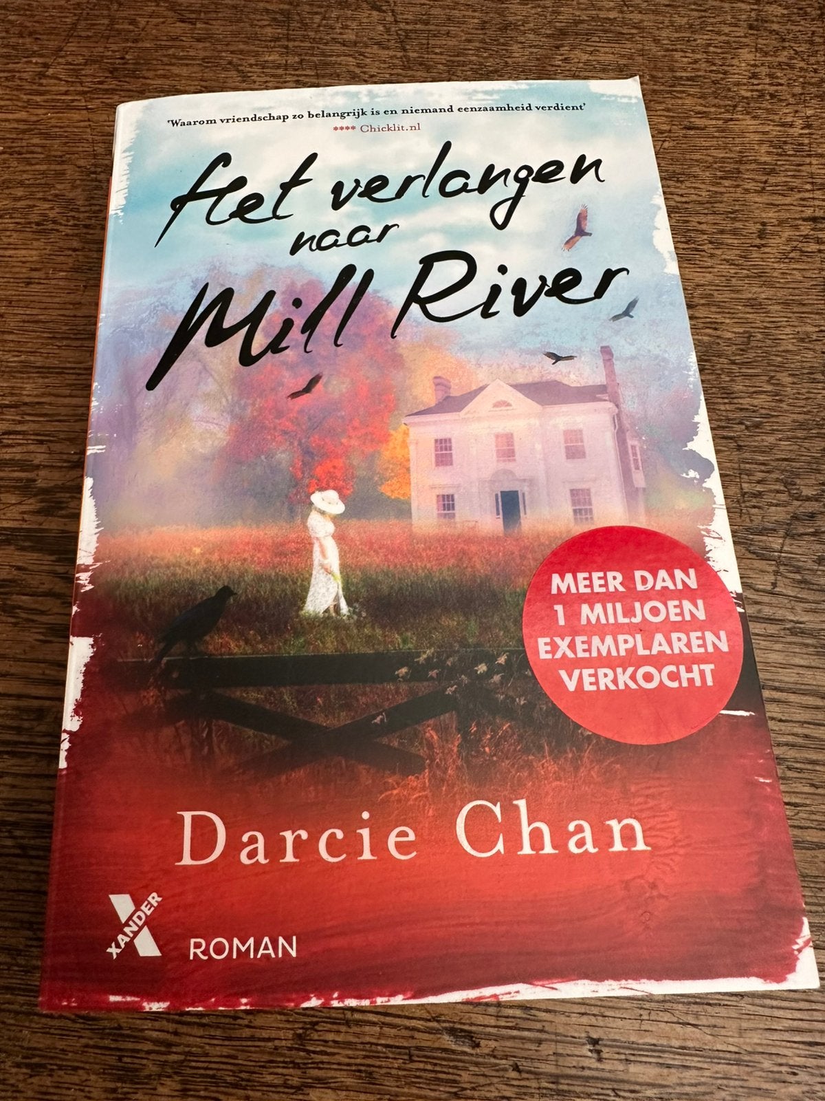 Darcie Chan: Het verlangen naar Mill River, Boeken, Ophalen of Verzenden, Zo goed als nieuw
