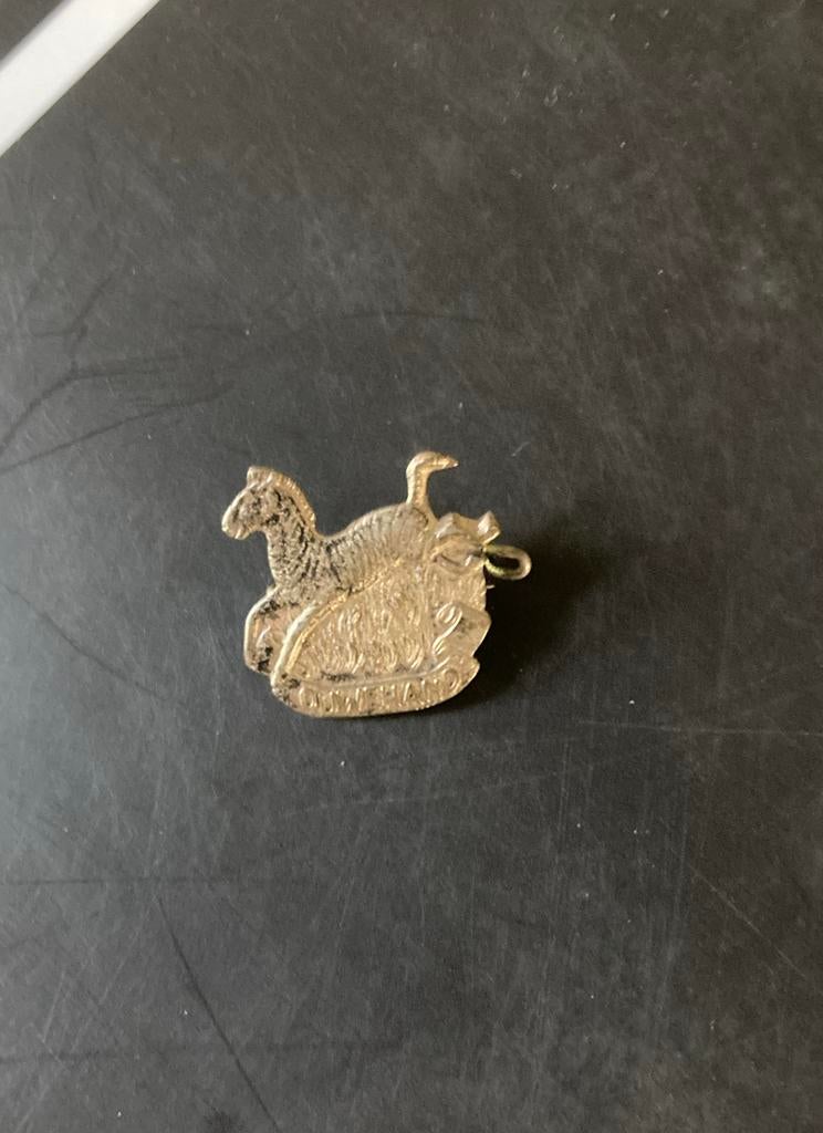Vintage Ouwehand speldje/broche, Ophalen of Verzenden, Zo goed als nieuw, Overige onderwerpen