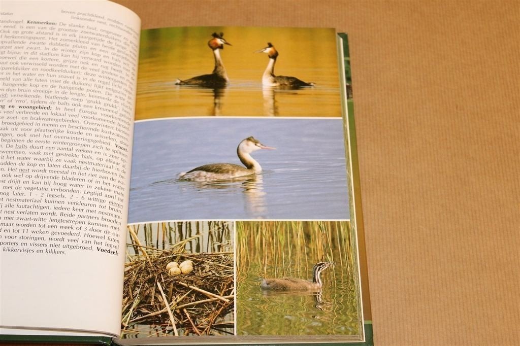 De Complete Vogelgids — Beschrving, foto\'s, kenmerken..., Boeken, Ophalen of Verzenden, Gelezen, Vogels
