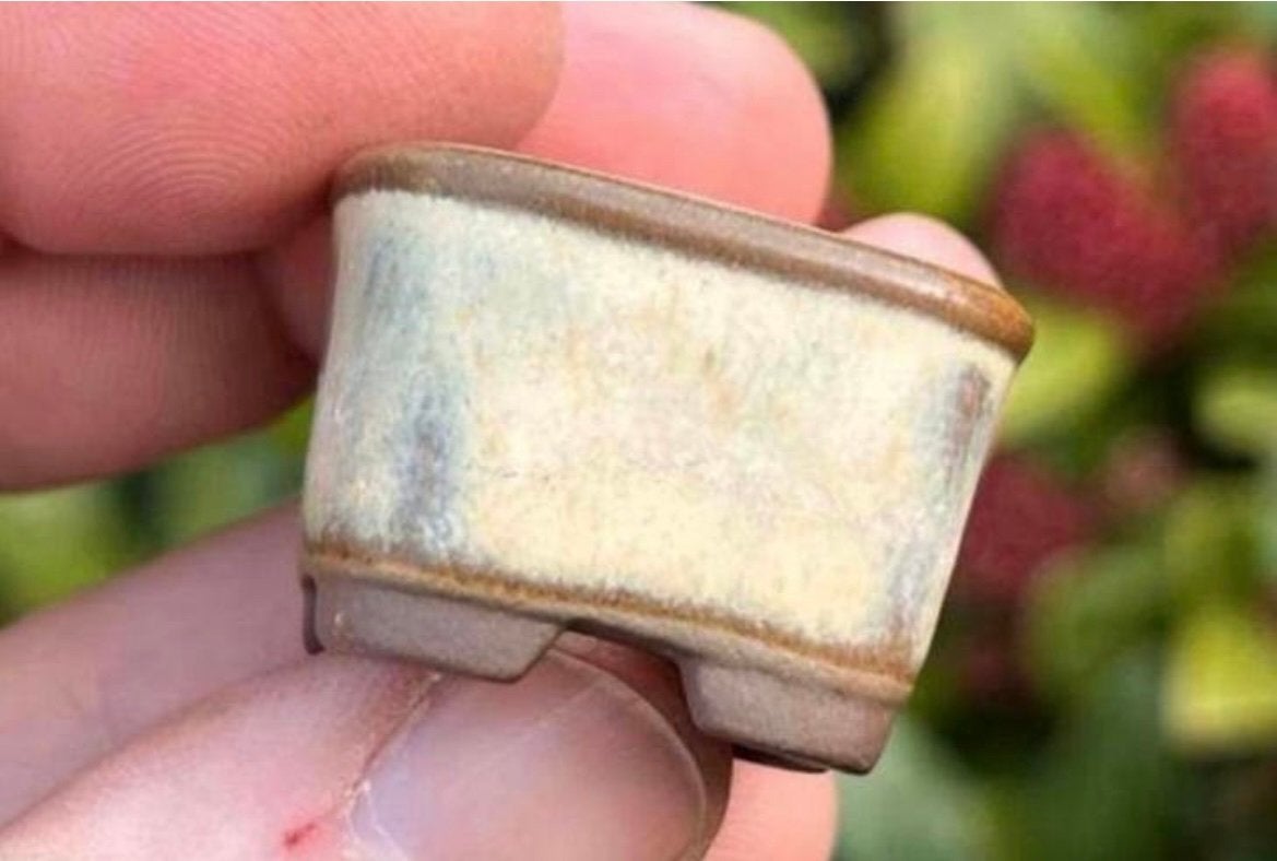 Bonsai Mame potje crème geglazuurd gemerkt Japans 3x3x2,4, Vierkant, Ophalen of Verzenden, Zo goed als nieuw, Aardewerk