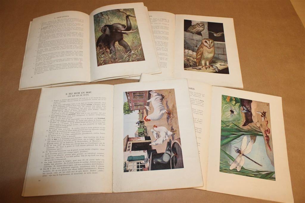 Dierkunde in Woord en Beeld — 4 Delen — 1934, Ophalen of Verzenden, Gelezen