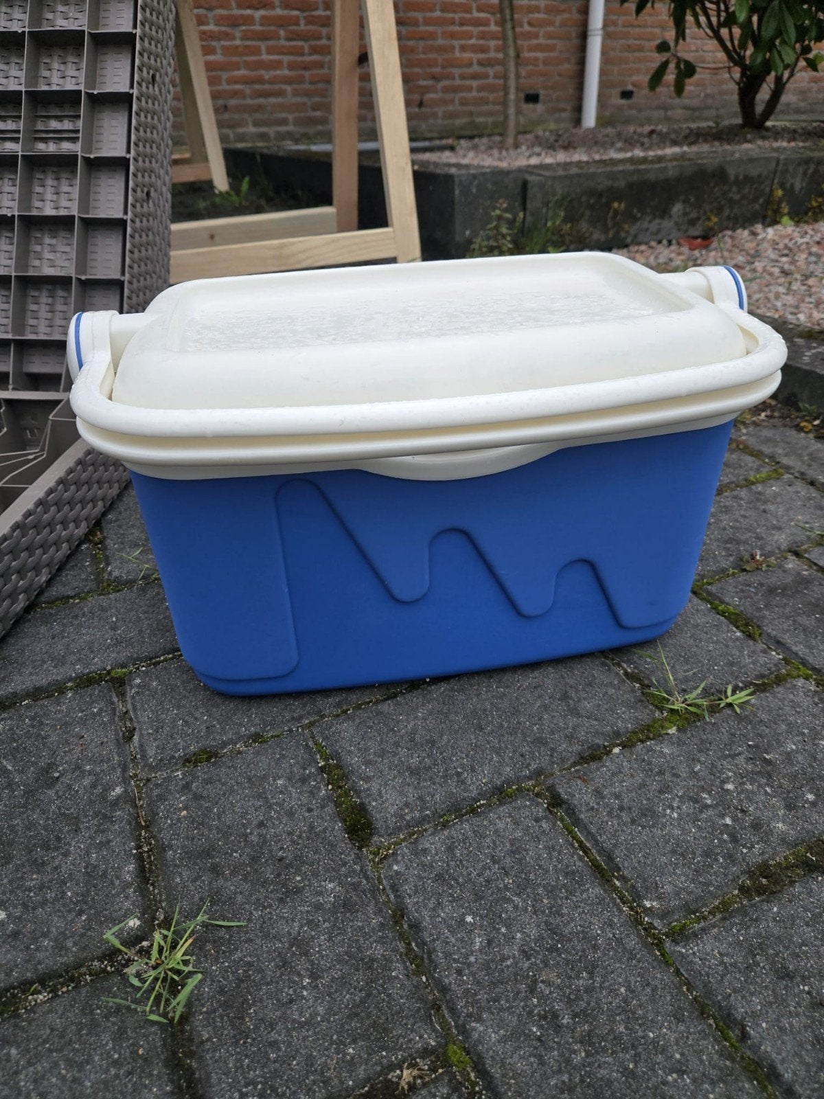 Blauwe koelbox Curver met wit deksel, Ophalen, Gebruikt, Koelbox