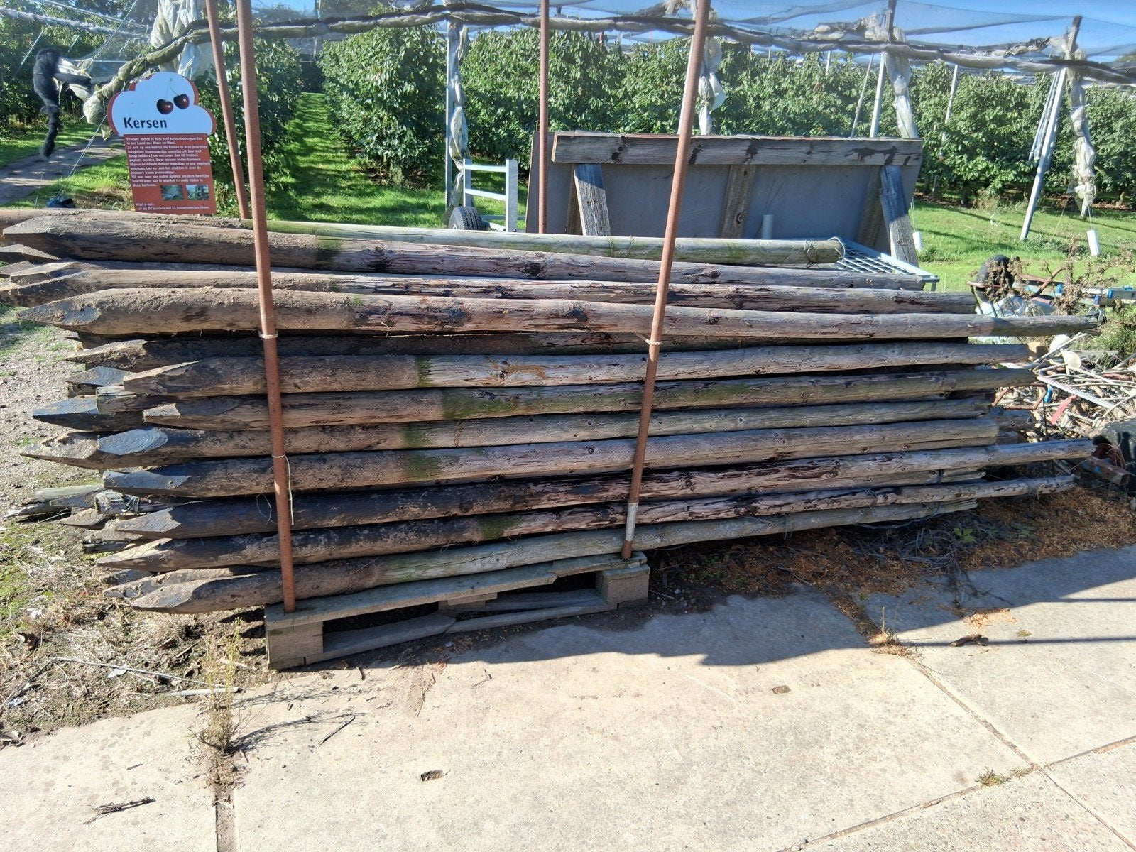 palen mooie partij palen, Tuin en Terras, Ophalen, Gebruikt, 250 cm of meer, Palen