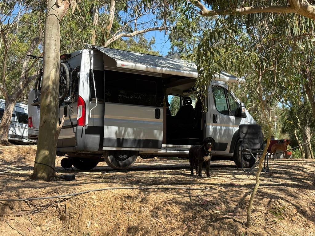 Fiat Ducato buscamper (L2H2), klaar voor avontuur., Chemisch toilet, Buscamper of Camperbus, Fiat, Tot en met 2
