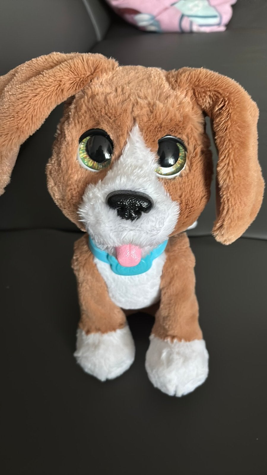 Hondje, Ophalen of Verzenden, Zo goed als nieuw, Hond