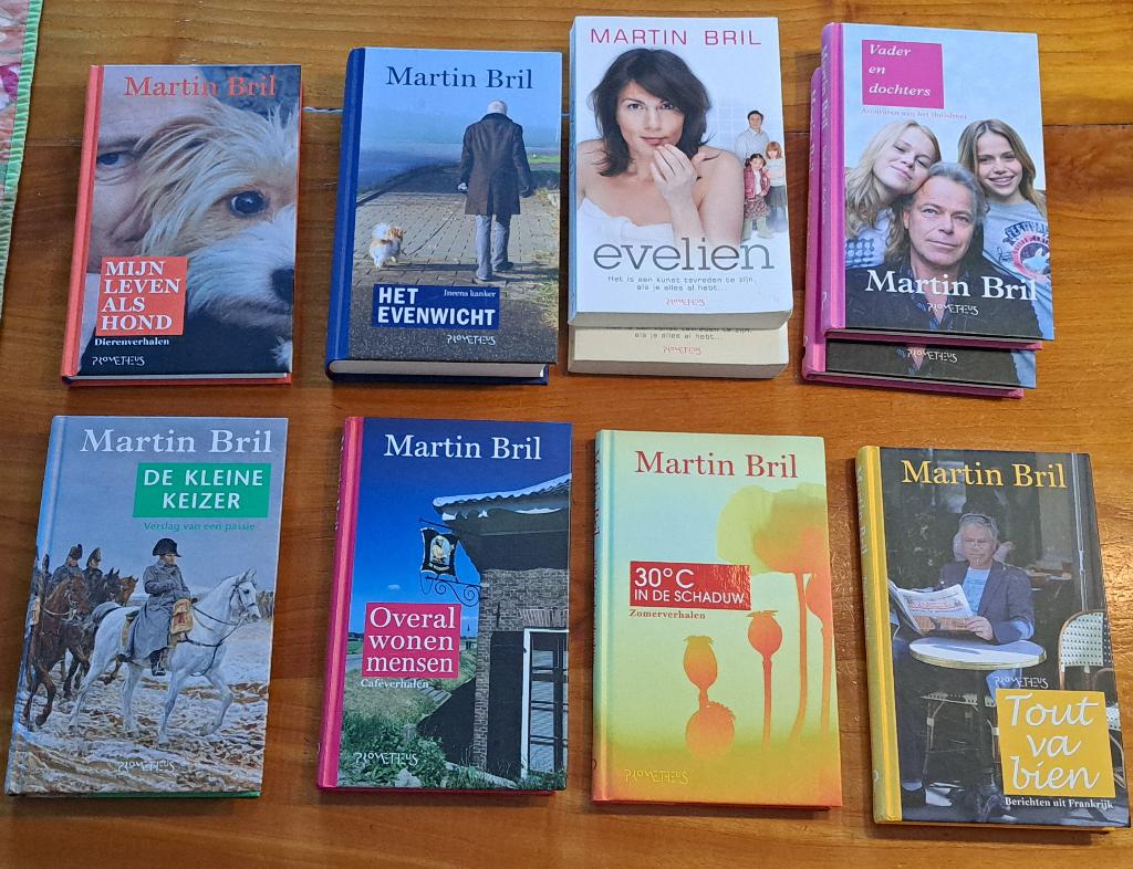 Martin Bril boek hard cover  5 euro per stuk, Ophalen of Verzenden, Zo goed als nieuw
