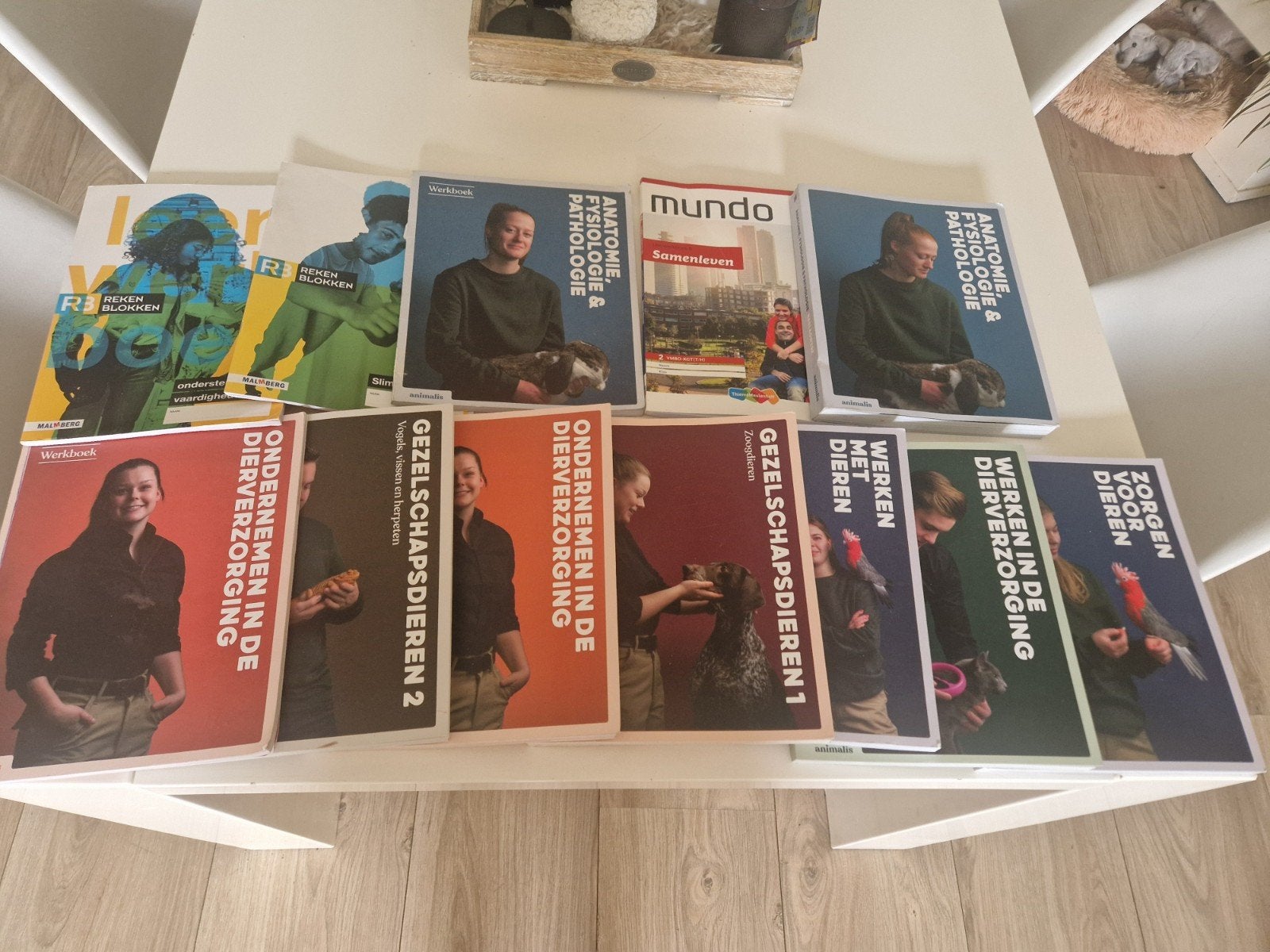 Schoolboeken Dierverzorging en Algemeen, niveau 3. Mbo., Ophalen of Verzenden, Gelezen, Overige vakken