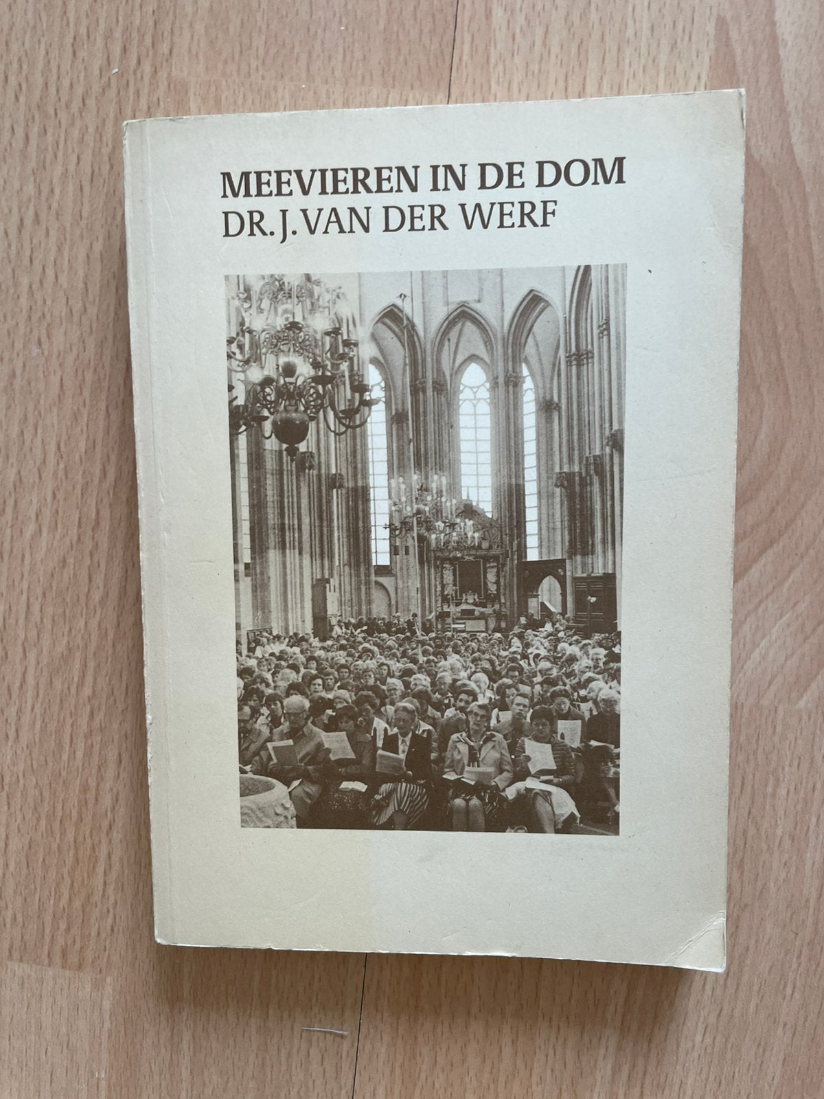 Meevieren in de Dom - Dr. J. van der Werf, Ophalen of Verzenden, Gelezen, Christendom | Protestants