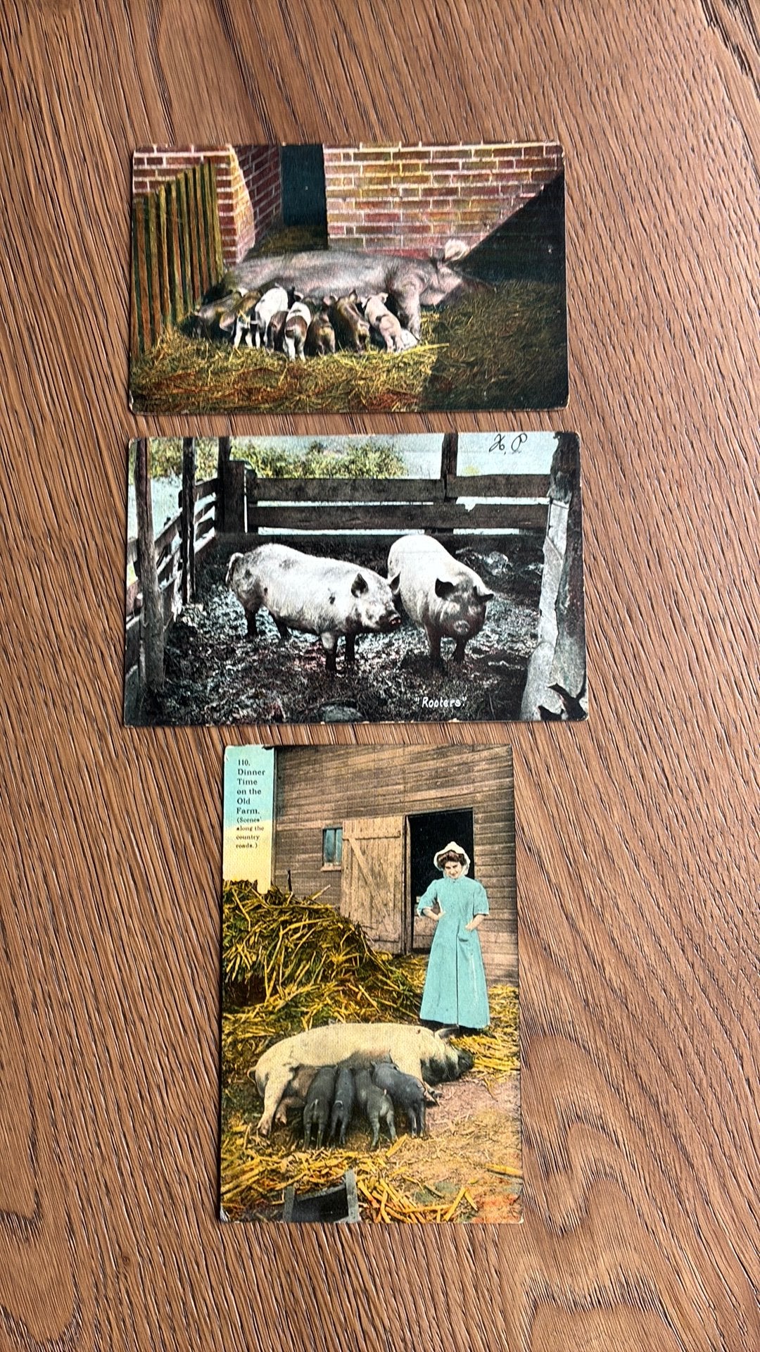 Dieren. Varkens en biggen, Ophalen of Verzenden, Voor 1920, Gelopen