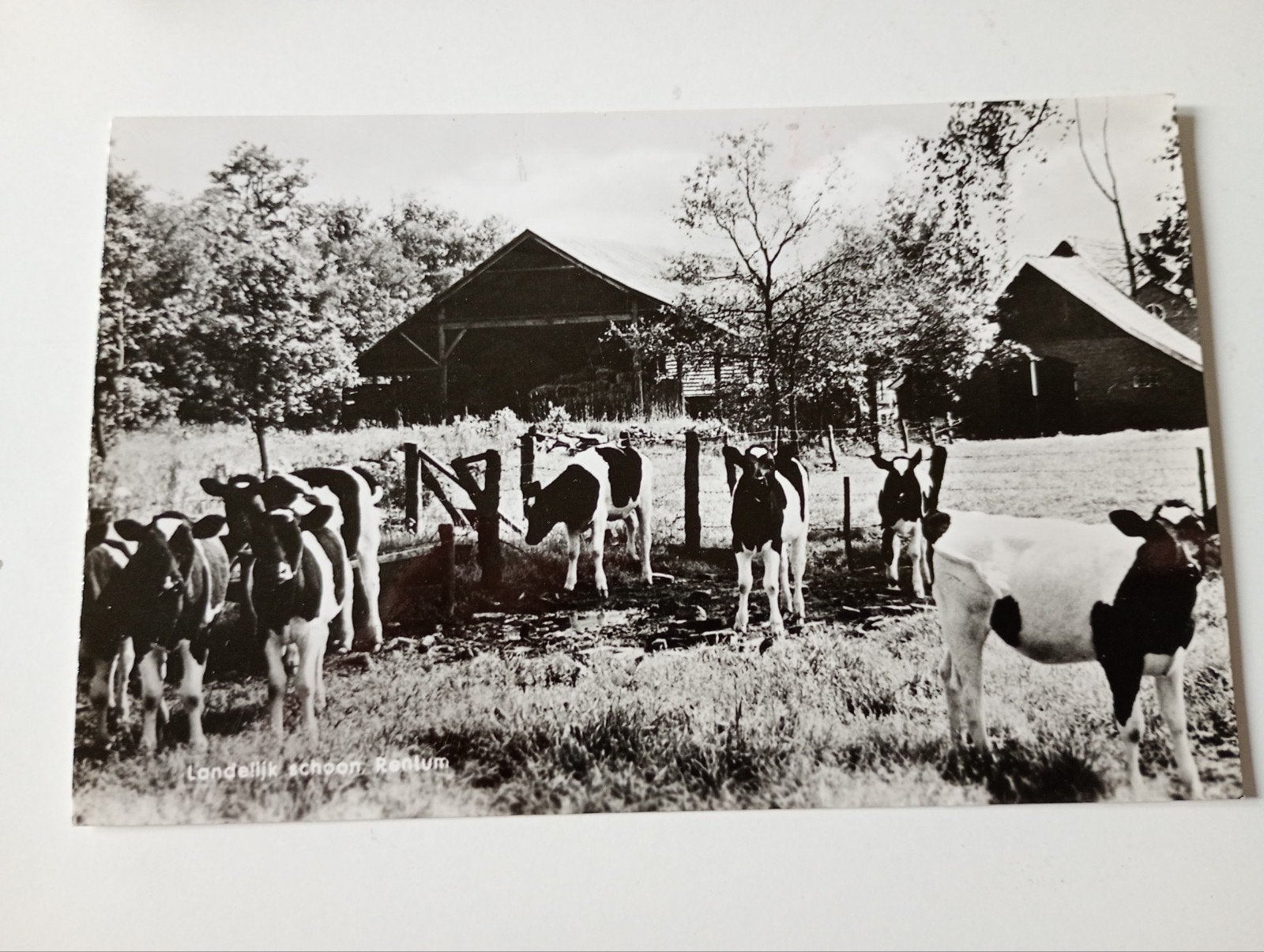 Reutum bij Tubbergen Boerderij 1965, Ophalen of Verzenden, 1960 tot 1980, Gelopen, Overijssel