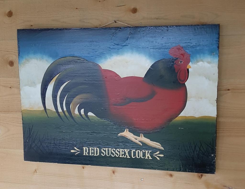 Schilderij met kip, Ophalen of Verzenden