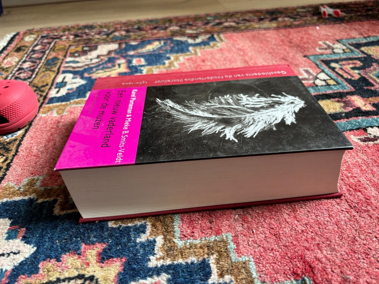 Een nieuw vaderland voor de muzen, Boeken, Ophalen of Verzenden, Zo goed als nieuw