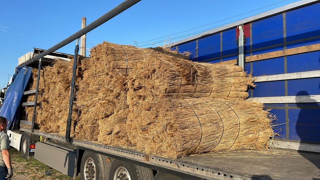 Natuurlijk riet voor dakbedekking, Doe-het-zelf en Verbouw, Overige materialen, Zwart, Nieuw, Ophalen of Verzenden