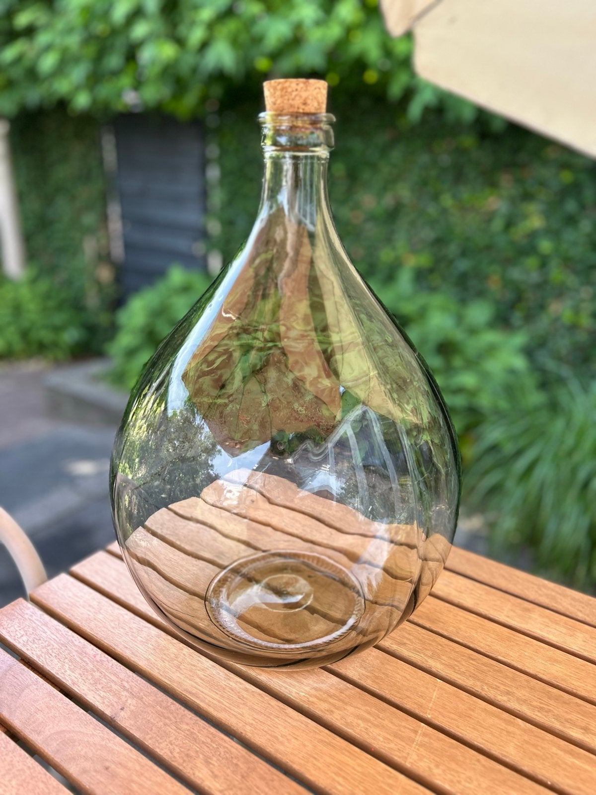 Grote glazen fles - mandfles - terrarium - ecosysteem, Ophalen