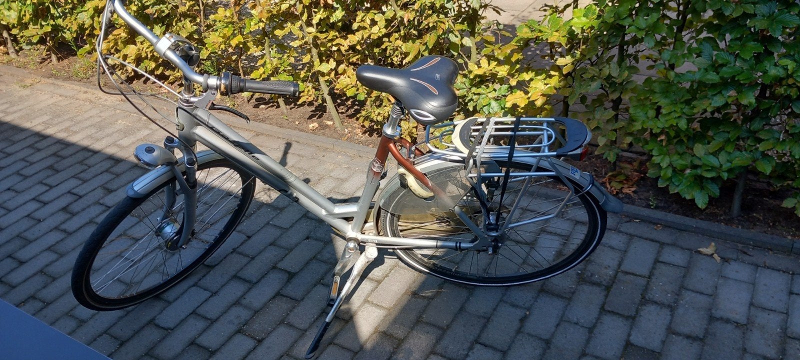 Damesfiets met gebruikssporen, Ophalen