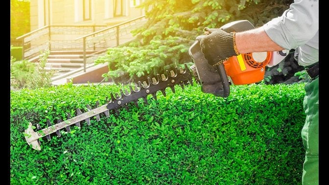 werk Als tuinman, Ophalen, Zo goed als nieuw, Tuinieren en Tuinplanten