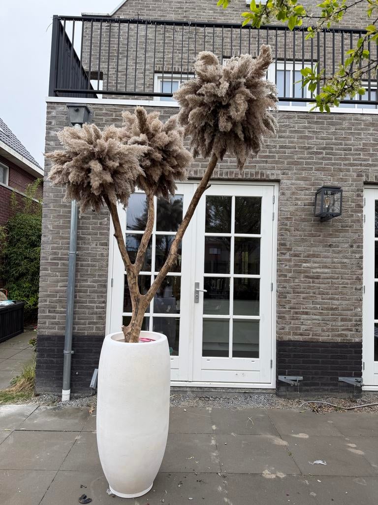 Exclusieve pampasboom en bloesemboom, Binnen, Kunstplant, Ophalen of Verzenden, Zo goed als nieuw