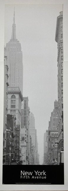 poster Peter Cunningham 1999 New York Fifth avenue, Ophalen of Verzenden, Zo goed als nieuw, Minder dan 50 cm, Foto of Poster