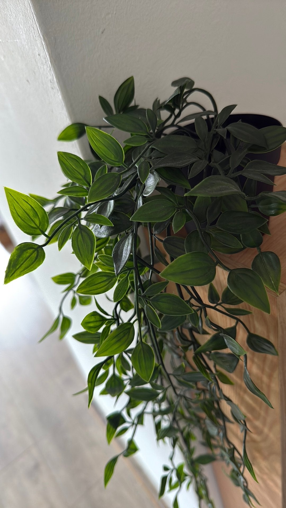 Kunstplantje IKEA, Huis en Inrichting, Ophalen