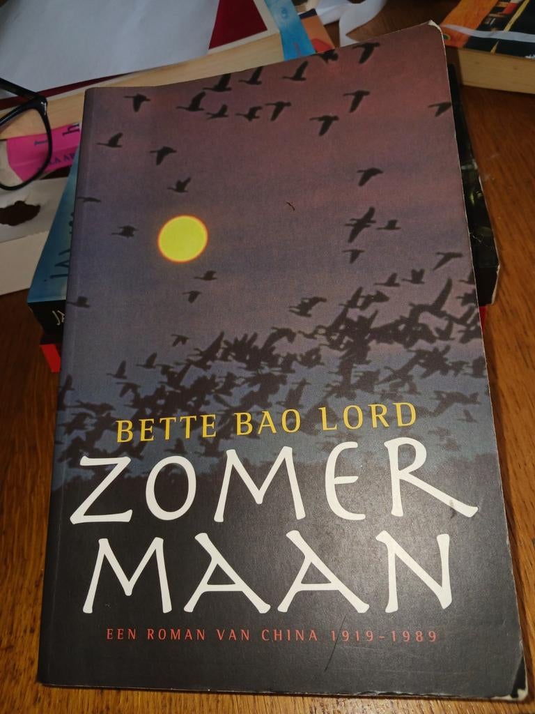 Zomermaan, Boeken, Overige Boeken, Gelezen, Ophalen of Verzenden