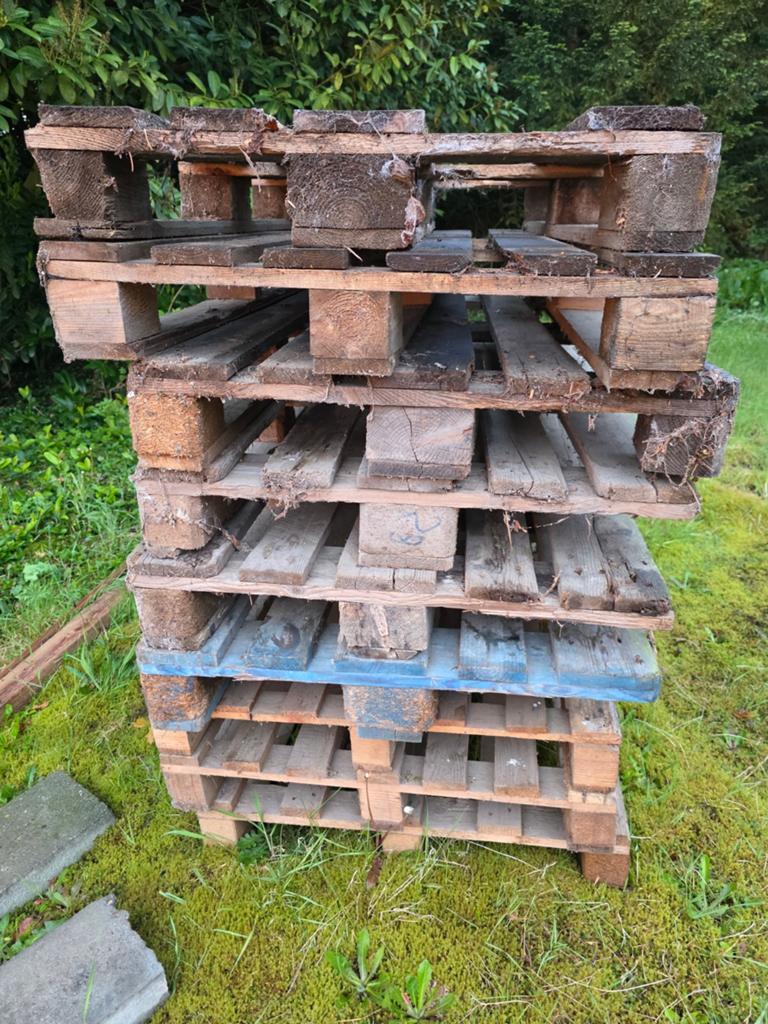 Oude pallets stookhout, Tuin en Terras, Haardhout, Minder dan 3 m³, Ophalen of Verzenden