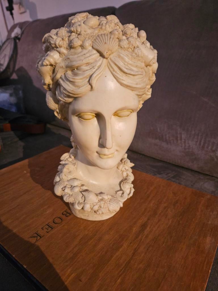 Decoratieve buste met schelpen - Vrouwenhoofd, Ophalen