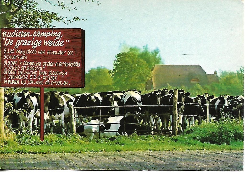 Friesland- -De grazige weide., Verzenden, 1980 tot heden, Gelopen, Friesland