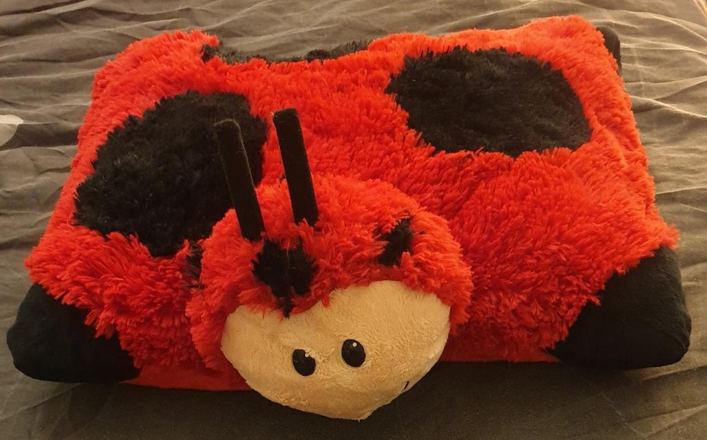 Knuffelkussen, Ophalen of Verzenden, Zo goed als nieuw, Overige typen