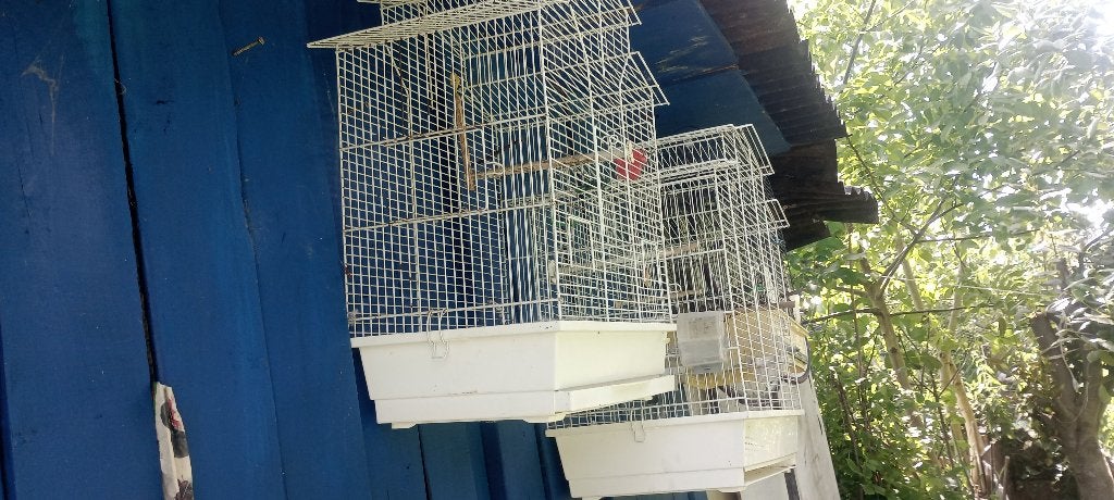4 Kooien , geschikt  voor canaries & andere soorten Vogels., Ophalen of Verzenden, Gebruikt, Metaal, Vogelkooi