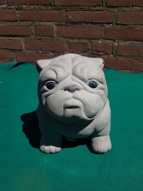 -	Tuinbeeld buldog van beton, Ophalen of Verzenden, 'T Olde Gre-j, Info@toldegrej.nl, Endepoelstraat 20f Didam