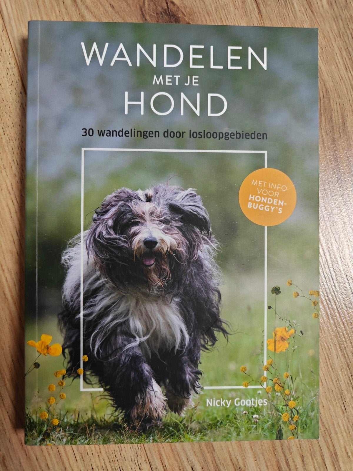 Nicky Gootjes - Wandelen met je hond, Fiets- of Wandelgids, Ophalen of Verzenden, Zo goed als nieuw, ANWB
