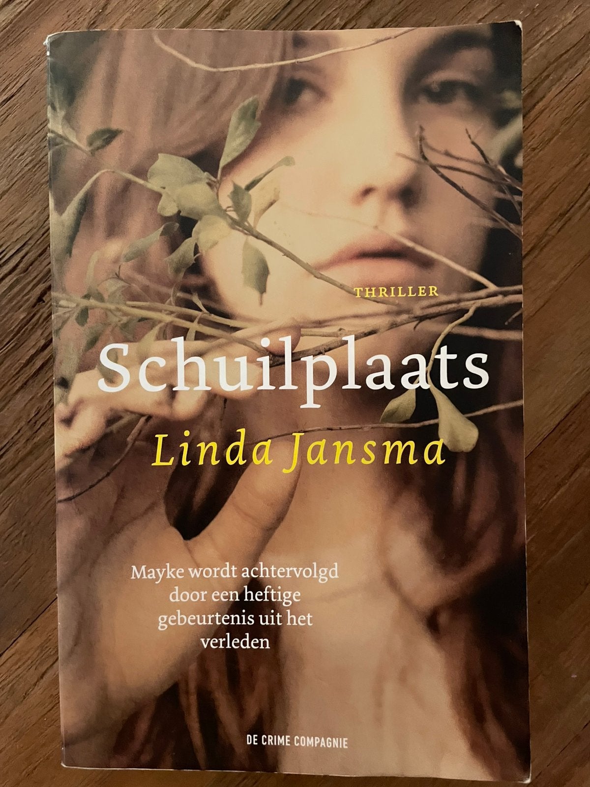 Linda Jansma - Schuilplaats, Ophalen of Verzenden, Zo goed als nieuw, Linda Jansma