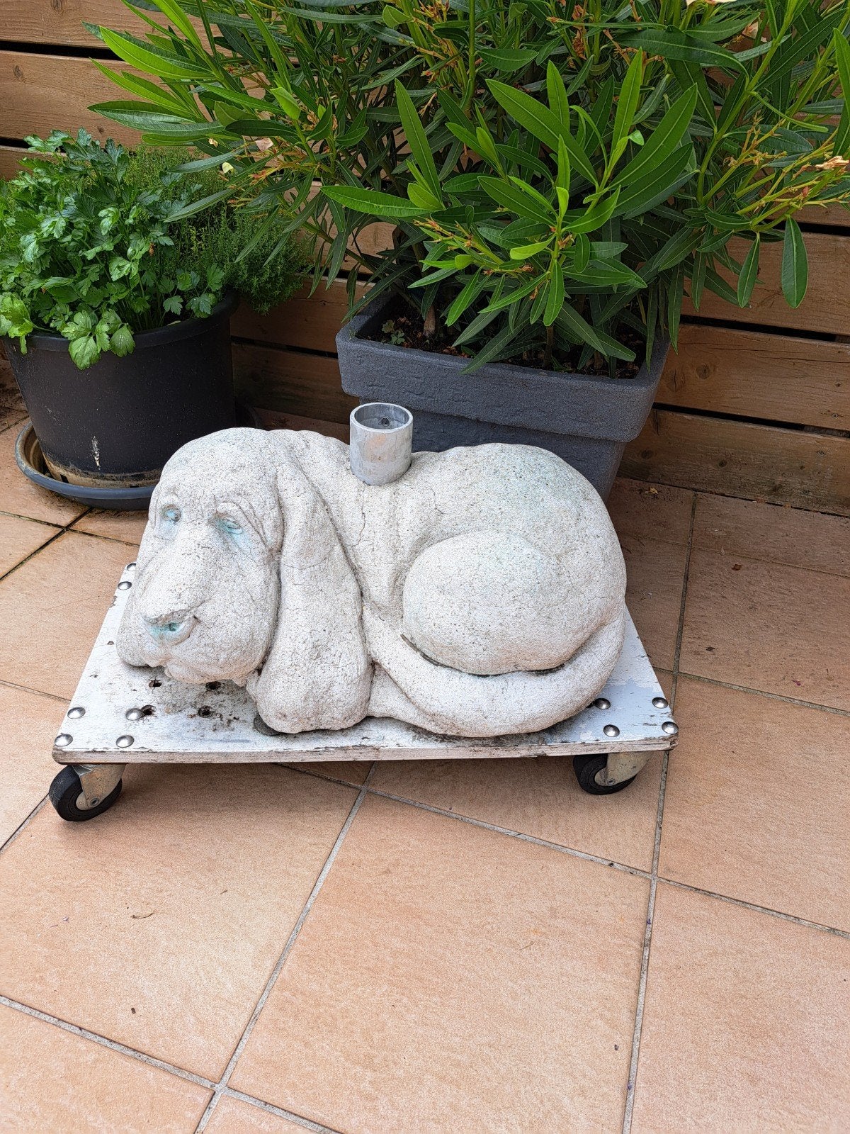 Een betonnen  hond, Tuin en Terras, Ophalen, Gebruikt, Beton, Dierenbeeld