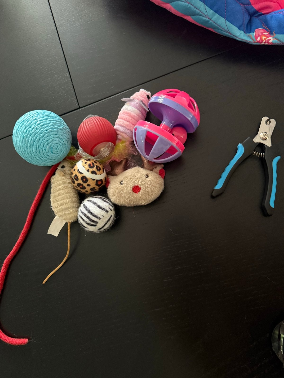 Kitten katten pakket compleet, Ophalen, Nieuw