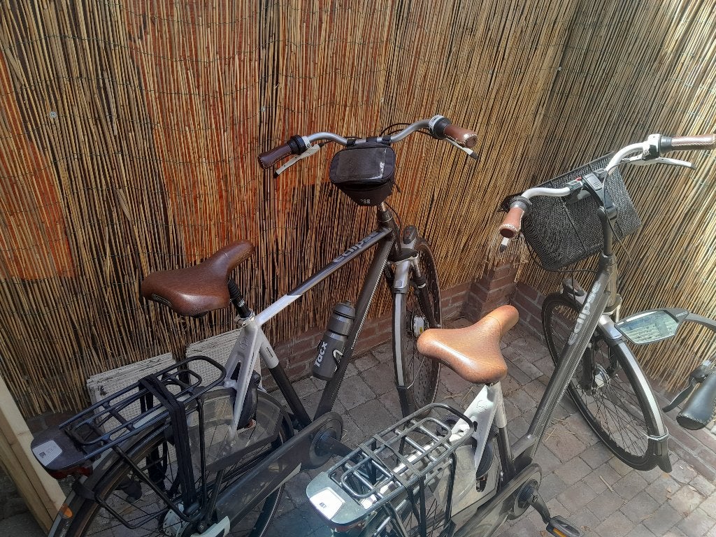 Gazelle Eclipse Limited Edition Dames 54 Heren 57 inch, Fietsen en Brommers, Fietsen | Heren | Herenfietsen, Ophalen, Gebruikt