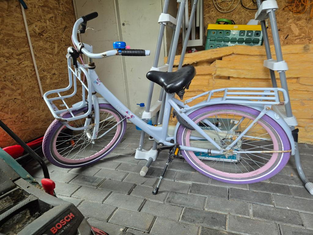 Meisjes fiets 20 inch, Ophalen of Verzenden, Gebruikt, 20 inch