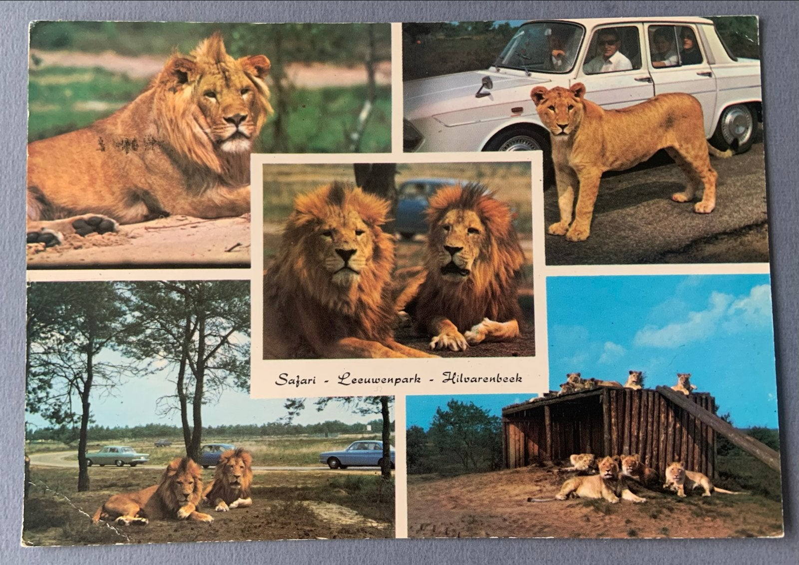 Safari-Leeuwenpark Hilvarenbeek (Gelopen), Verzenden, 1960 tot 1980, Gelopen, Noord-Brabant