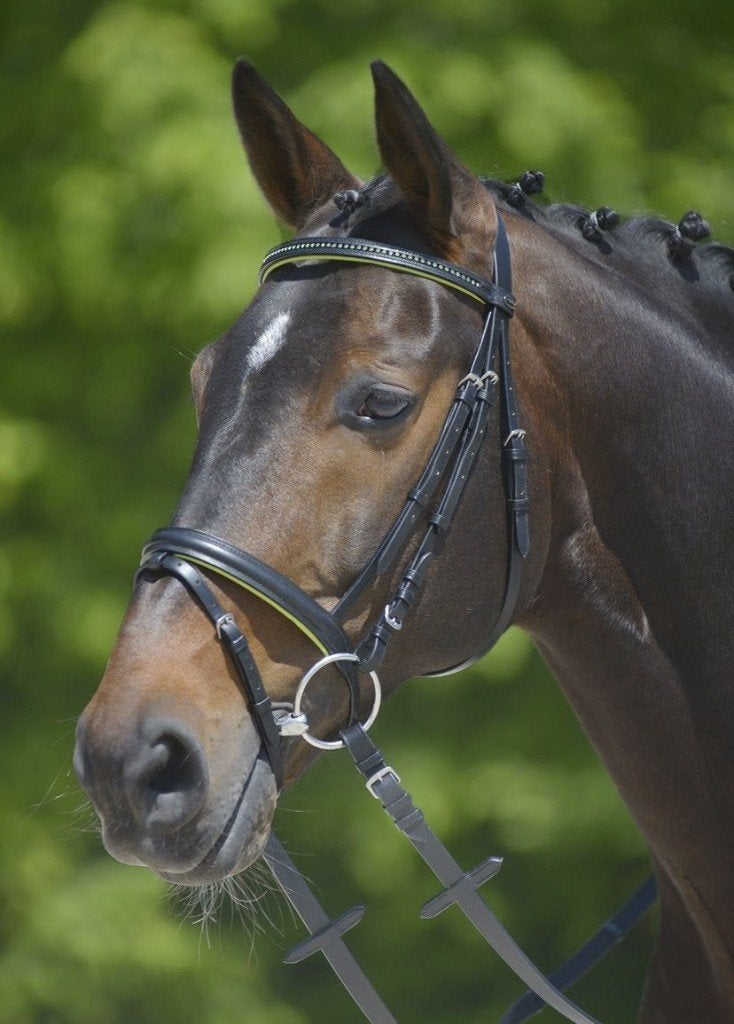 Star Diamond hoofdstel Lime Groen maat Shetlander en Cob, Dieren en Toebehoren, ., Nieuw, Ophalen of Verzenden, .