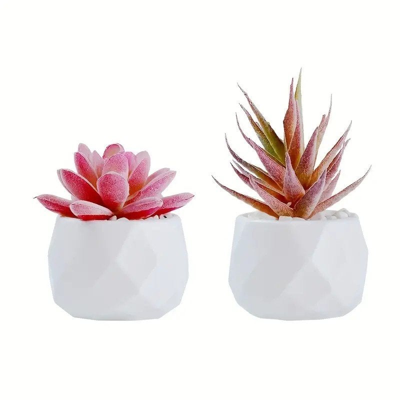 Vetplant in potjes 2 stuks, Kunstplant, Overige materialen, Nieuw, Ophalen of Verzenden
