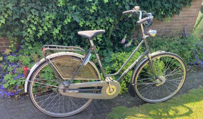 Gazelle, om op te knappen, Ophalen of Verzenden