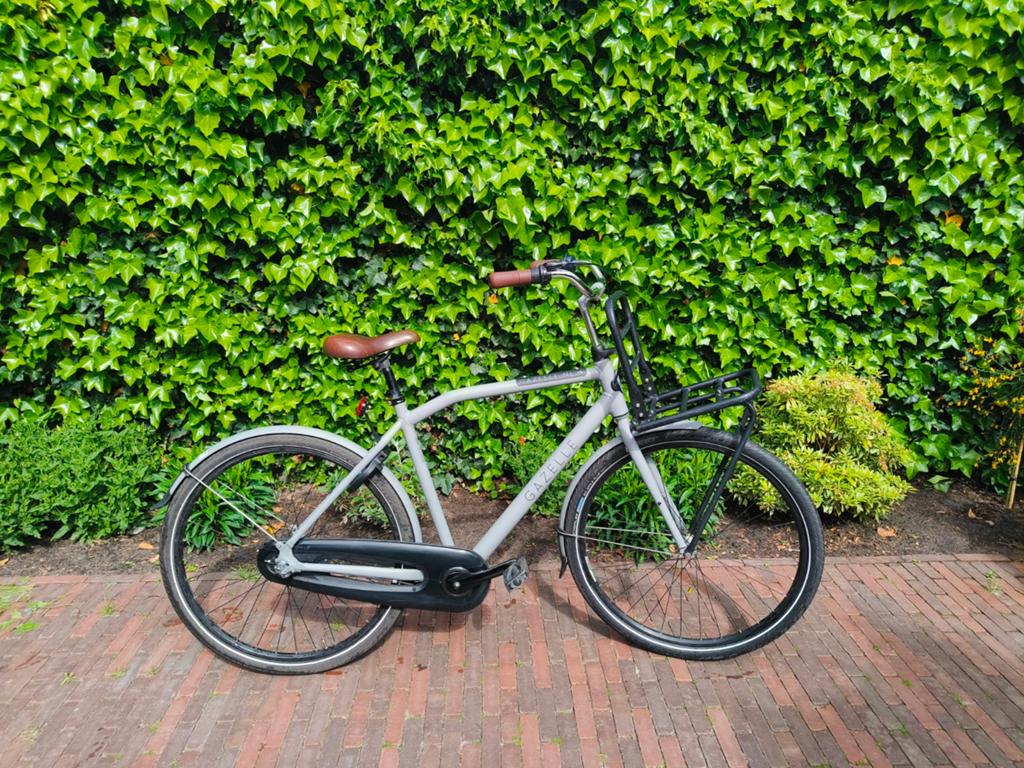 Gazelle heavydutynl transportfiets, Ophalen, Velgrem, Versnellingen, Gazelle