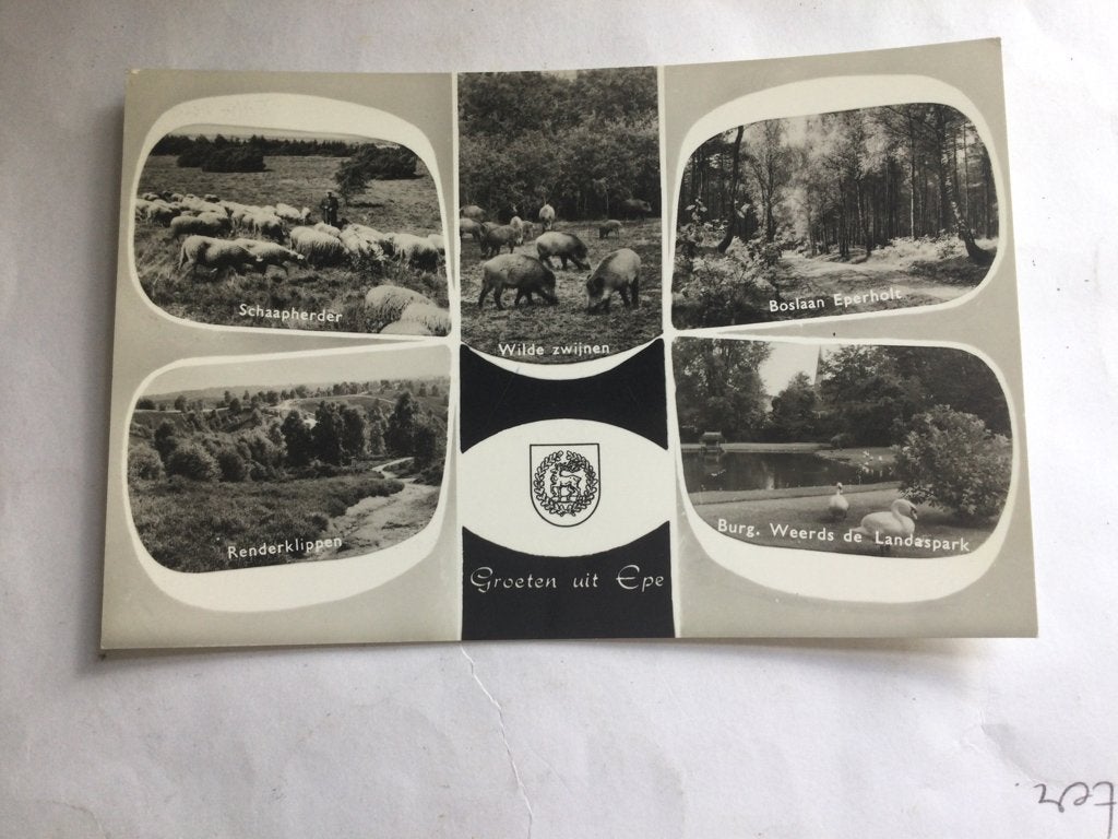 Ansichtkaarten Epe verzendkosten 1,45 euro risico koper, Verzenden, 1960 tot 1980, Gelderland