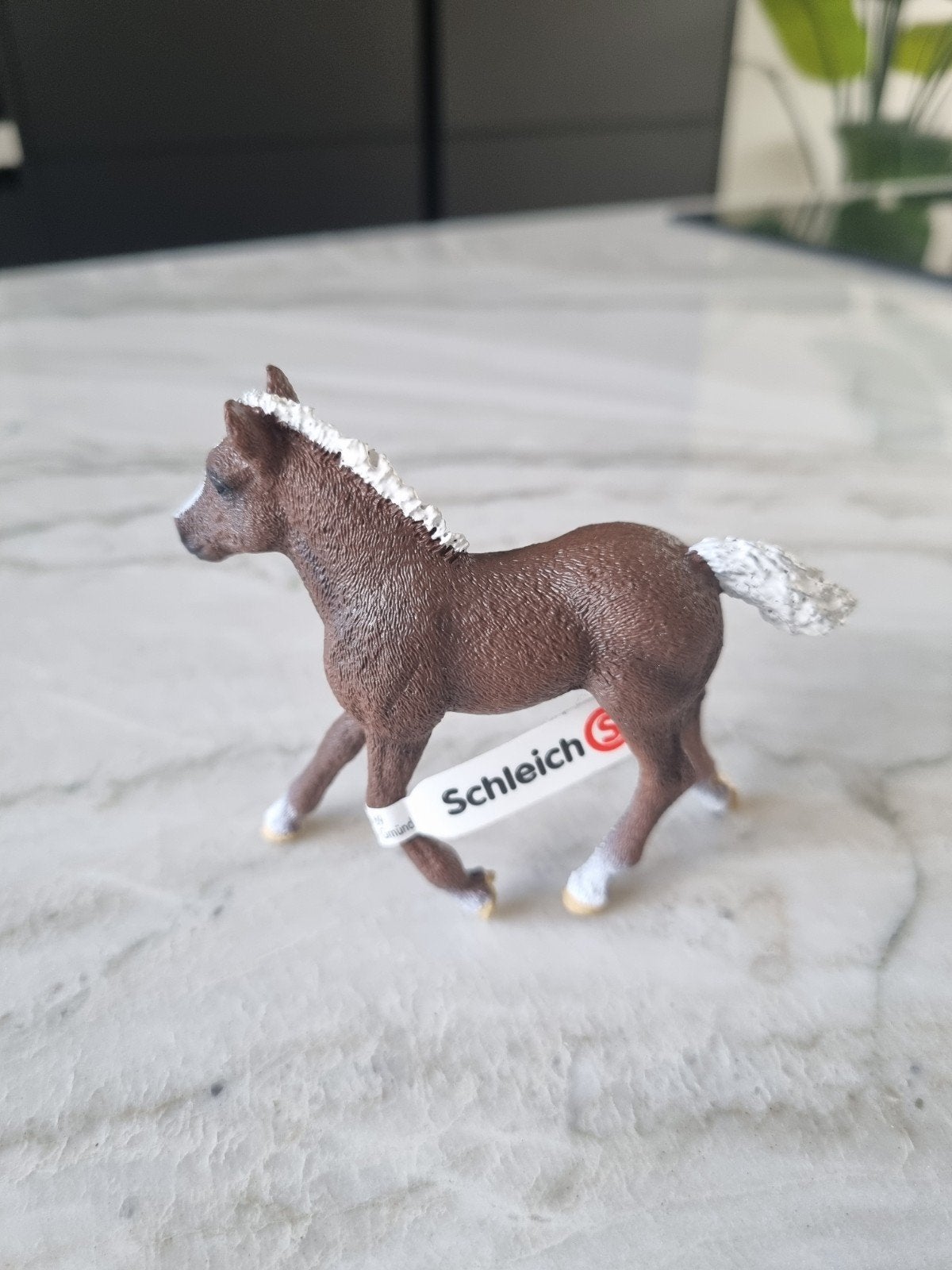 Schleich, 17077 Schwarzwalder veulen, Ophalen of Verzenden, Nieuw, Paard, Beeldje of Figuurtje