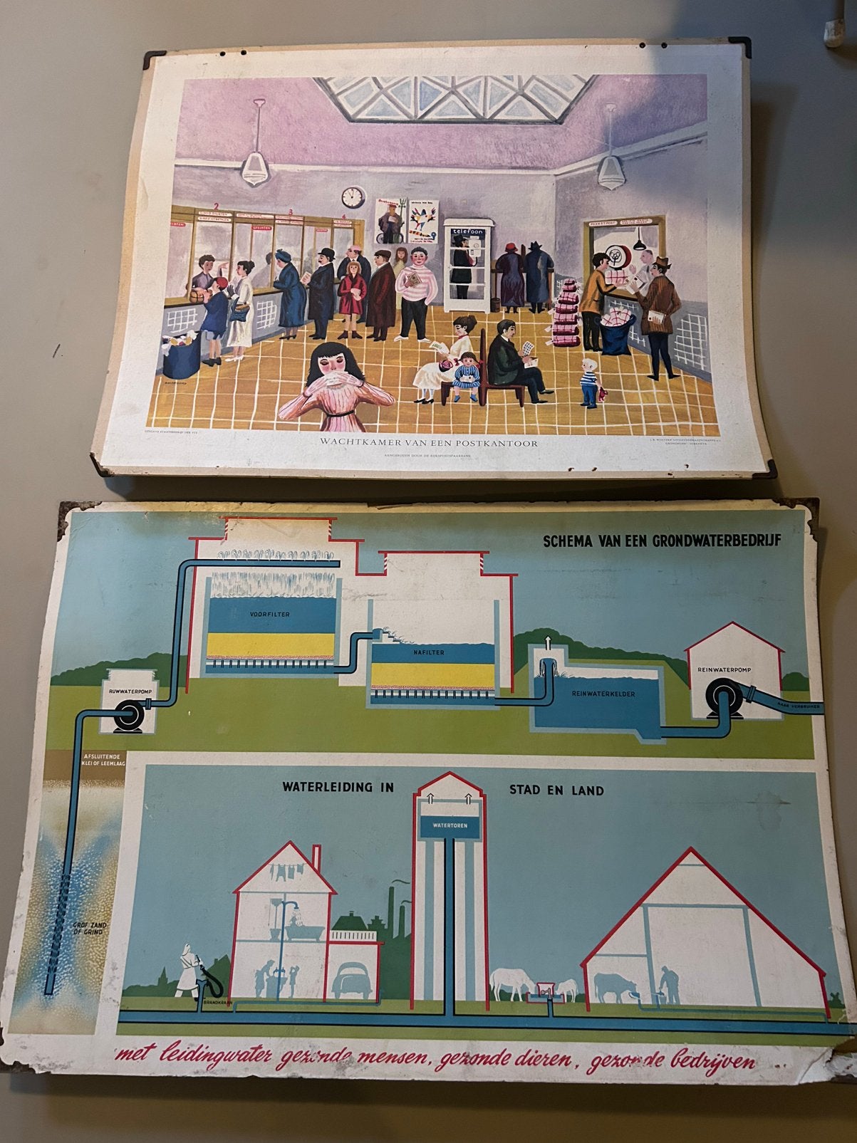 Wolters oude vintage schoolplaten platen school kind kinder, Ophalen, Natuur en Biologie