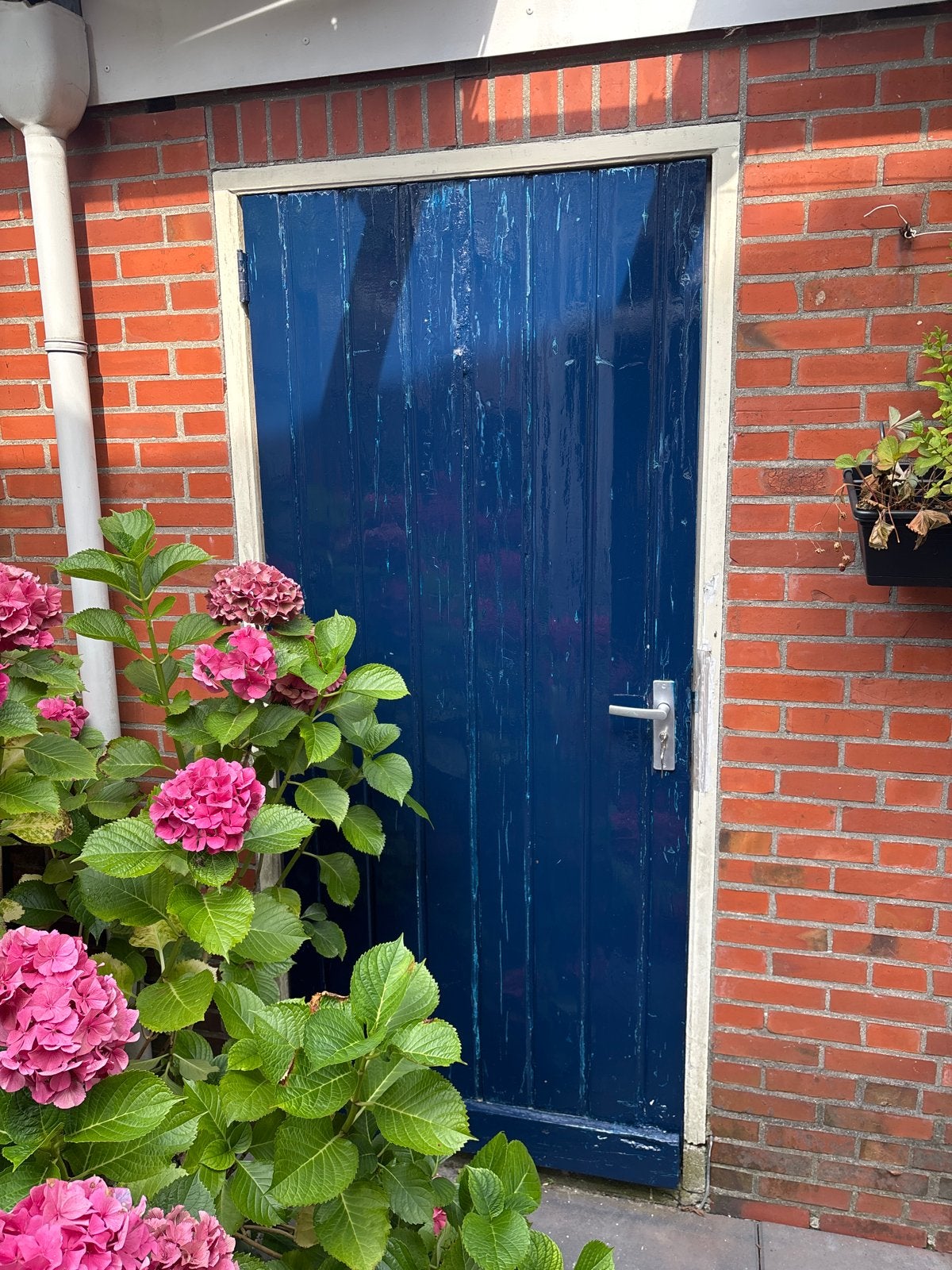 Op zoek naar een Gebruikte buitendeur maat 201 bij 87.50, Ophalen, Gebruikt, 80 tot 100 cm, Buitendeur